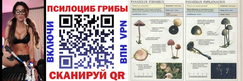 где купить наркоту  Сорочинск  Псилоцибиновые грибы ЛСД 